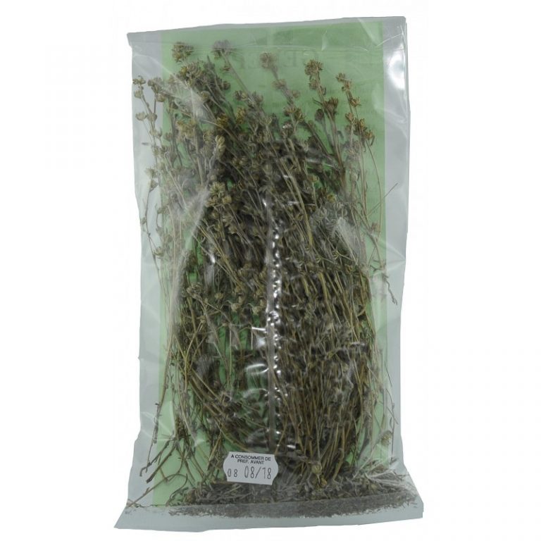 Génépi - Le Plantivore