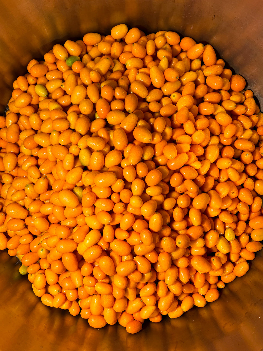 sauce Swet KUMQUAT (100ml)