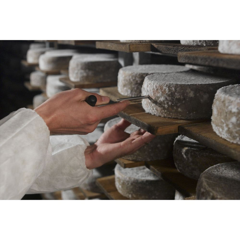 Tomme de Savoie