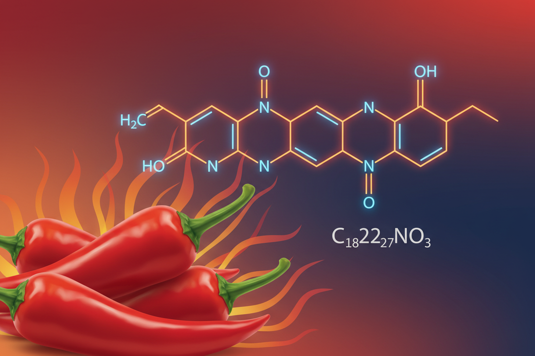 La capsaïcine : le composé brûlant qui enflamme les papilles et fascine la science