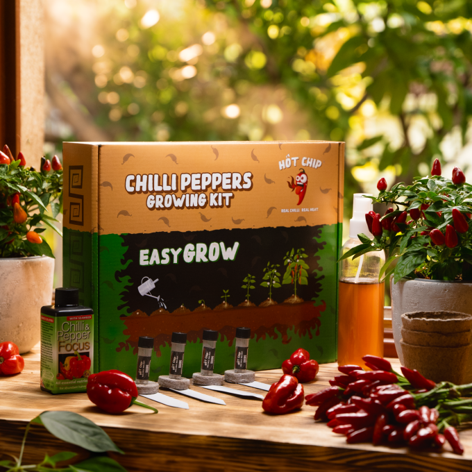 Gift Chili Pepper Growing Kit - Easy Grow